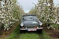 MG Bloesemrit op 24-4-2016 org. Jos&Marie-lou  (286)